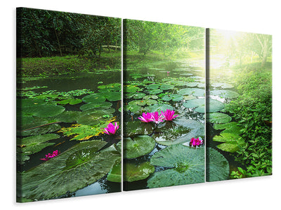 3-piece-canvas-print-garden-pond