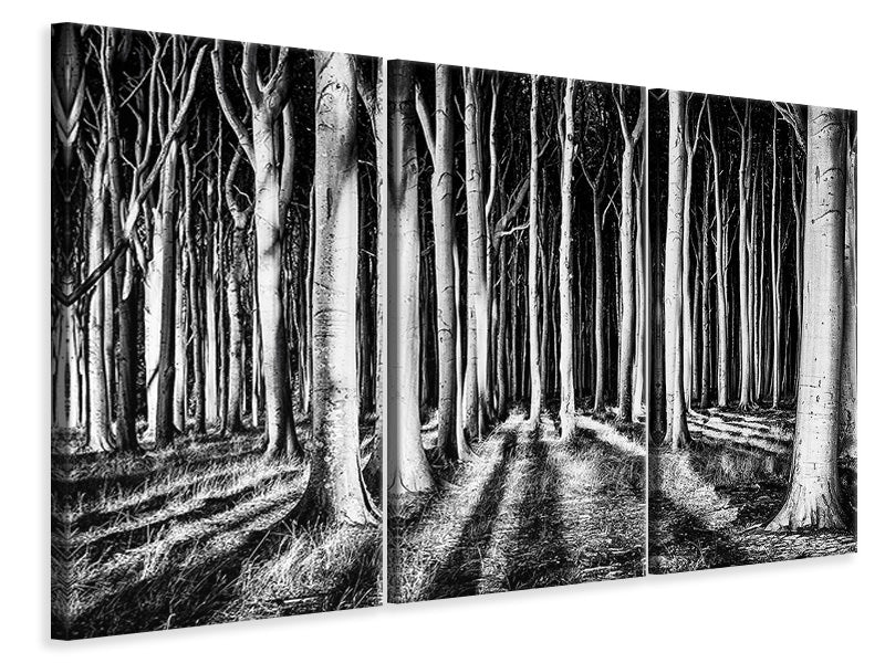 3-piece-canvas-print-ghost-forest