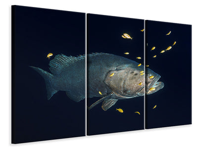 3-piece-canvas-print-giant-grouper