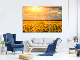 3-piece-canvas-print-golden-light-sunflower