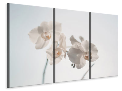 3-piece-canvas-print-graceful-orchids