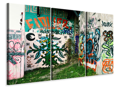 3-piece-canvas-print-graffiti-in-the-backyard