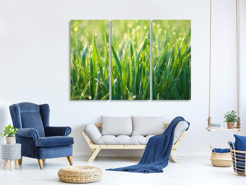 3-piece-canvas-print-grass-with-morning-dew-xl