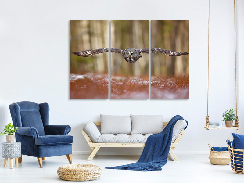 3-piece-canvas-print-great-grey-owl