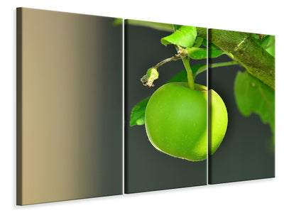 3-piece-canvas-print-green-apple