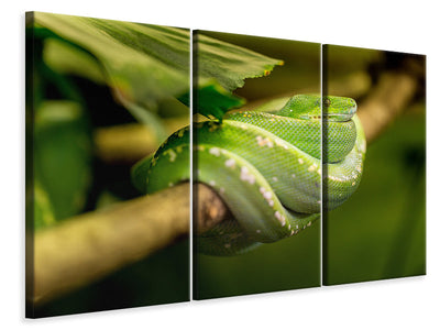 3-piece-canvas-print-green-snake