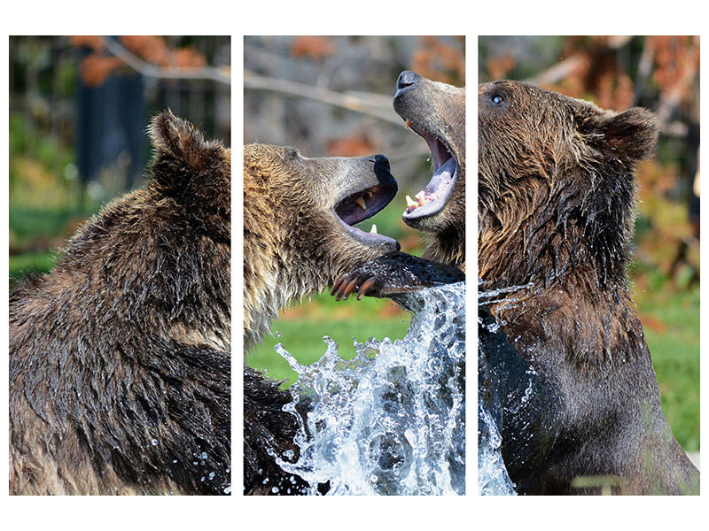 3-piece-canvas-print-grizzly-fight