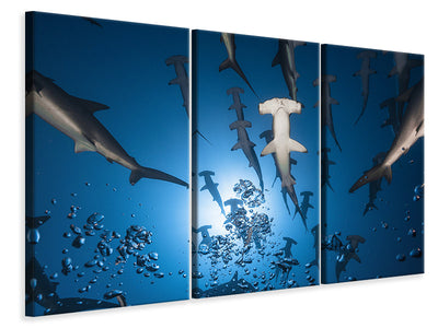 3-piece-canvas-print-hammerhead-shark