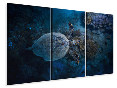3-piece-canvas-print-hawksbill-sea-turtle-ii
