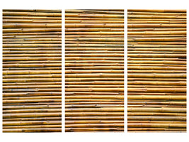 3-piece-canvas-print-horizontal-bamboo-wall