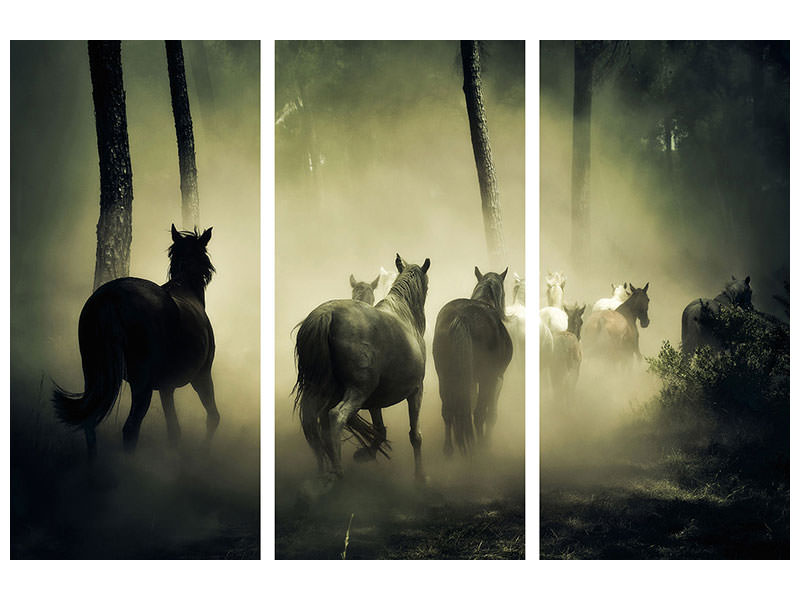 3-piece-canvas-print-horses-in-the-forest