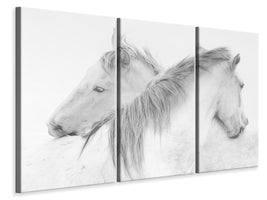 3-piece-canvas-print-horses