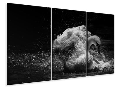 3-piece-canvas-print-in-motion
