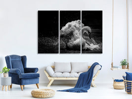 3-piece-canvas-print-in-motion