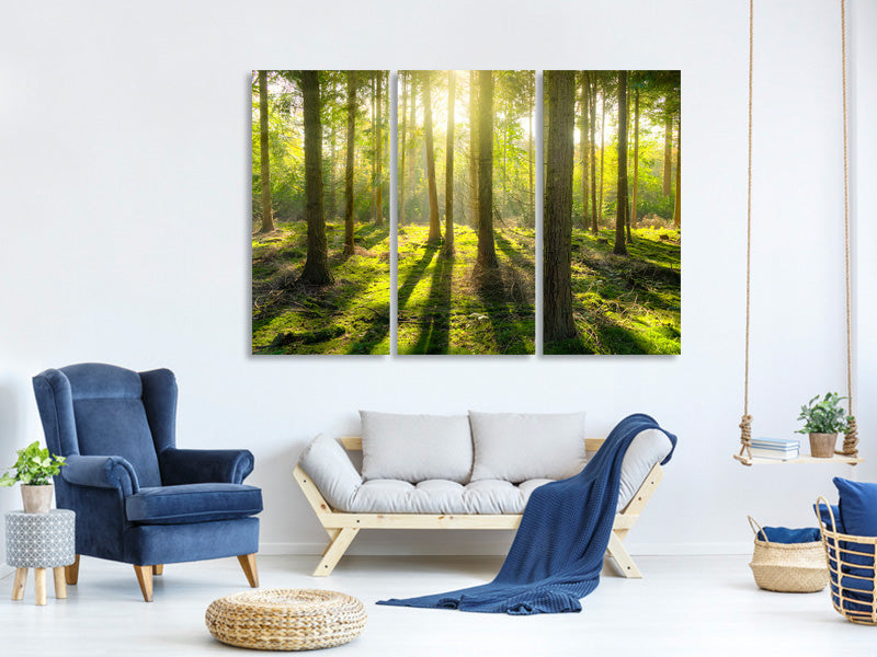 3-piece-canvas-print-in-the-middle-of-the-woods