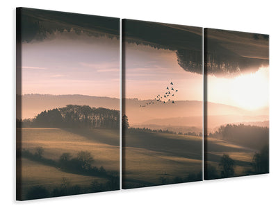 3-piece-canvas-print-interplanar