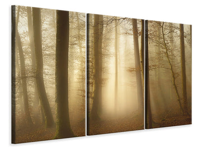 3-piece-canvas-print-into-the-trees