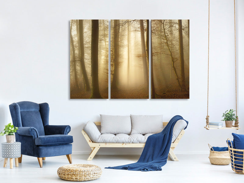 3-piece-canvas-print-into-the-trees