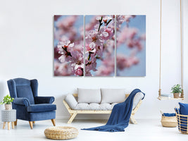 3-piece-canvas-print-japanese-cherry-tree-close-up