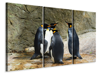 3-piece-canvas-print-king-penguins