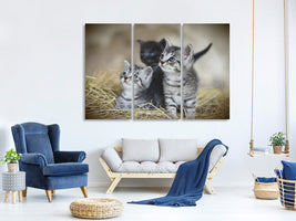 3-piece-canvas-print-kitten-trio