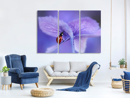 3-piece-canvas-print-ladybird-on-purple-hydrangea