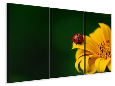 3-piece-canvas-print-ladybug-on-the-sunflower