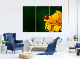 3-piece-canvas-print-ladybug-on-the-sunflower