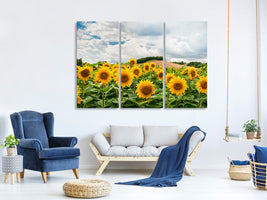 3-piece-canvas-print-landscape-with-sunflowers