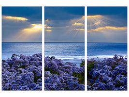 3-piece-canvas-print-lavender-and-sea