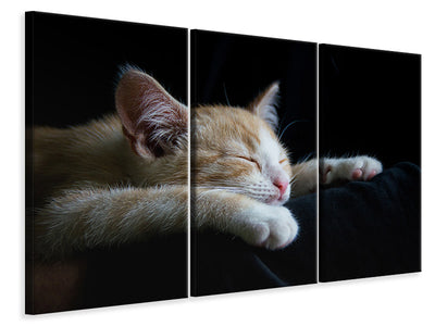 3-piece-canvas-print-lazy-cat