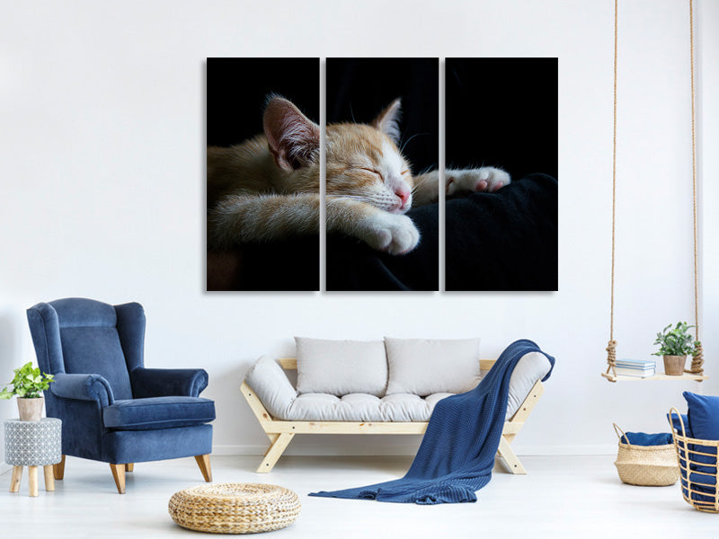 3-piece-canvas-print-lazy-cat