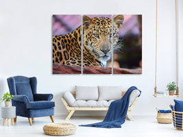 3-piece-canvas-print-leopard