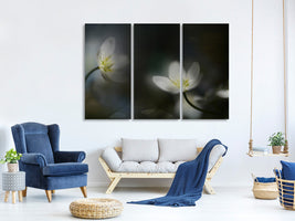 3-piece-canvas-print-light-in-the-darkness