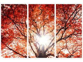 3-piece-canvas-print-light-of-autumn