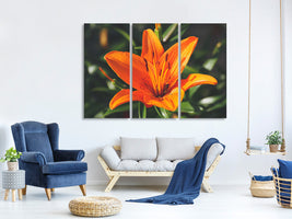 3-piece-canvas-print-lilies-blossom-in-orange-xl