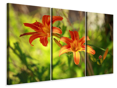 3-piece-canvas-print-lilies-in-nature
