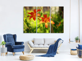3-piece-canvas-print-lilies-in-nature