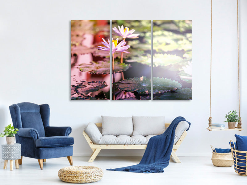 3-piece-canvas-print-lilies-in-pond