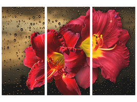 3-piece-canvas-print-lily-flowers-with-water-drops