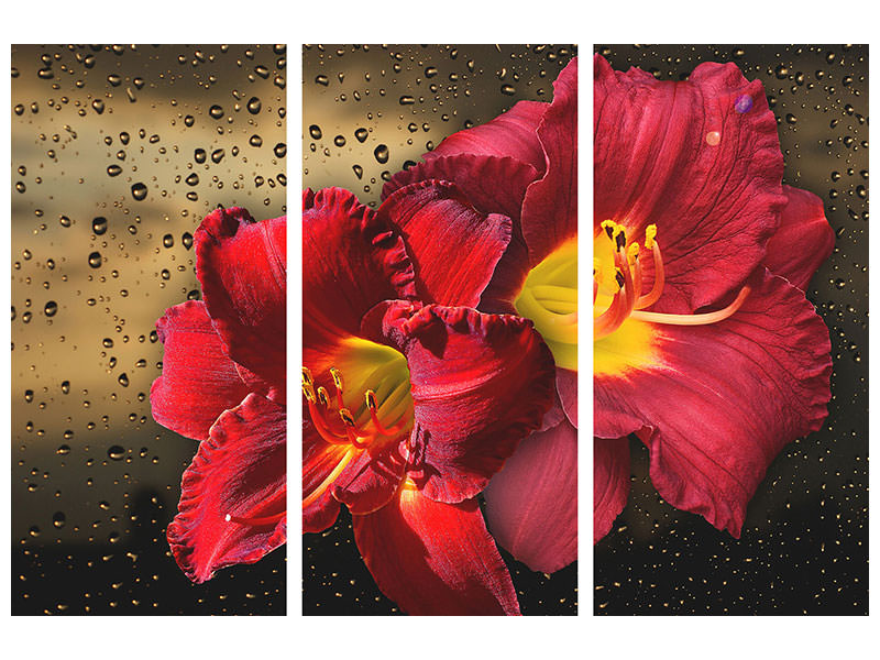 3-piece-canvas-print-lily-flowers-with-water-drops