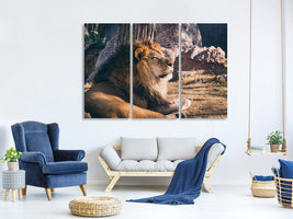 3-piece-canvas-print-lion-is-sunning-himself