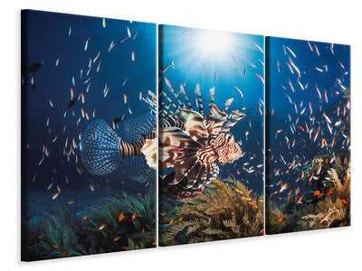 3-piece-canvas-print-lionfish