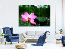 3-piece-canvas-print-lotus-in-nature