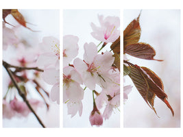 3-piece-canvas-print-lovely-japanese-cherry