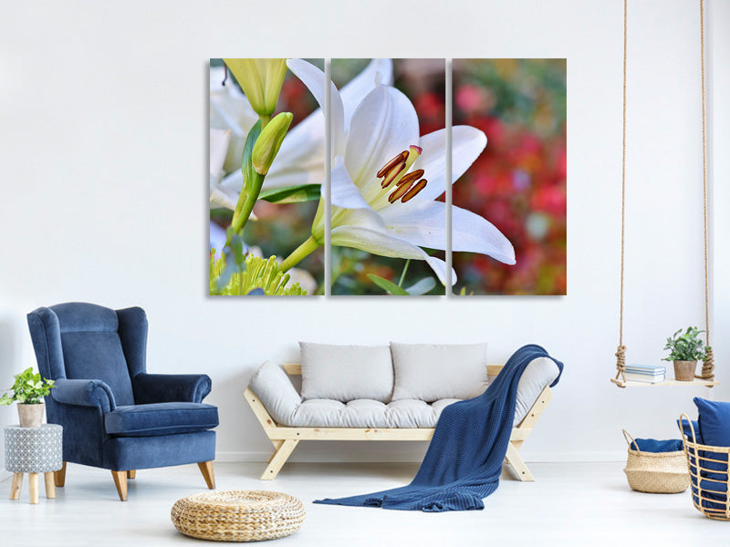3-piece-canvas-print-magnificent-lily-in-white