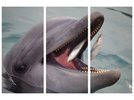 3-piece-canvas-print-mealtime-for-a-dolphin