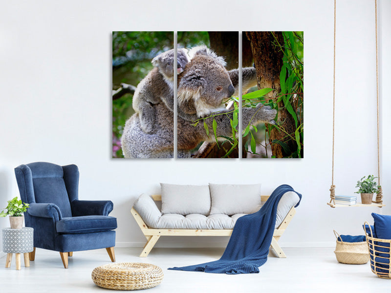 3-piece-canvas-print-mom-and-baby-koala