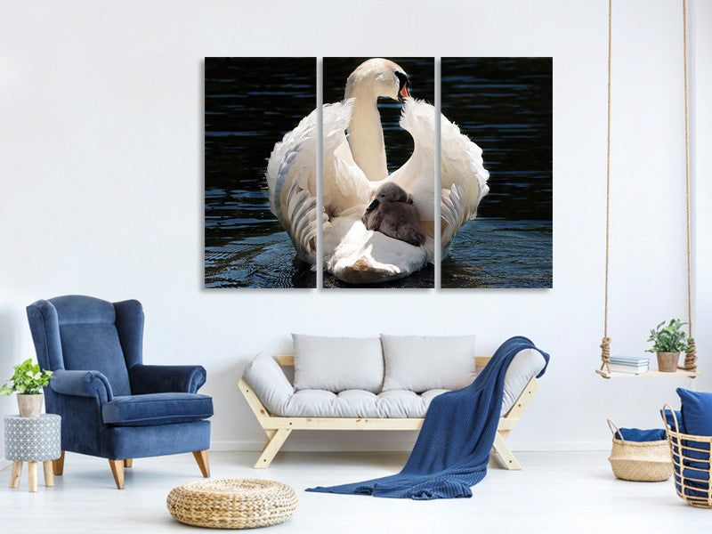 3-piece-canvas-print-mom-and-baby-swan