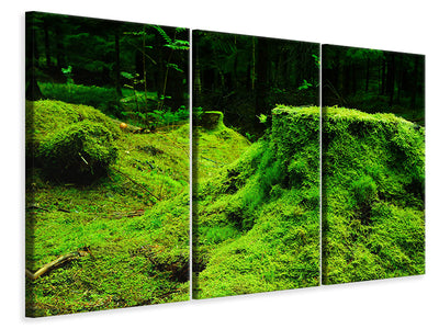 3-piece-canvas-print-moss-in-the-forest